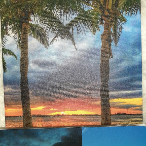 3 Palm Tree Paintings on canvas and foam - Picture 2 of 12